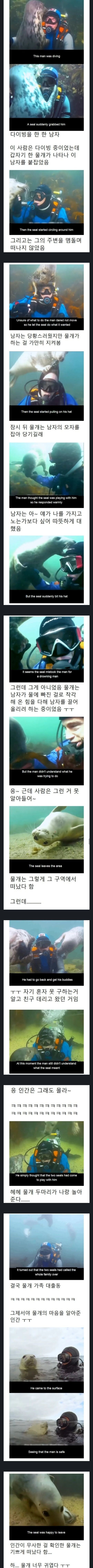 물개들이 스쿠버한테 몰려온 이유_1.jpg