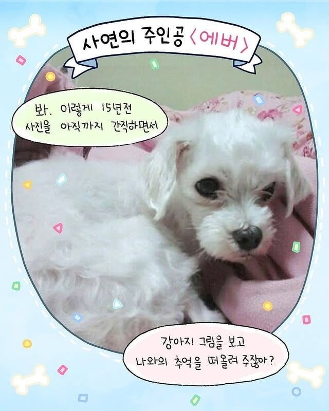 근엄한 백숙 만화_9.jpg