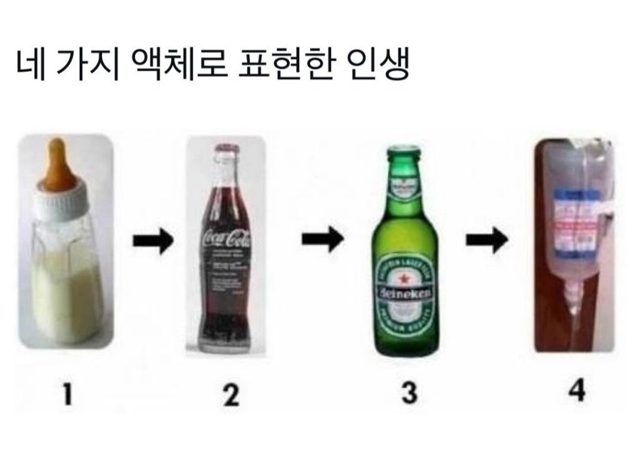네 가지 액체로 표현한 인생_1.png
