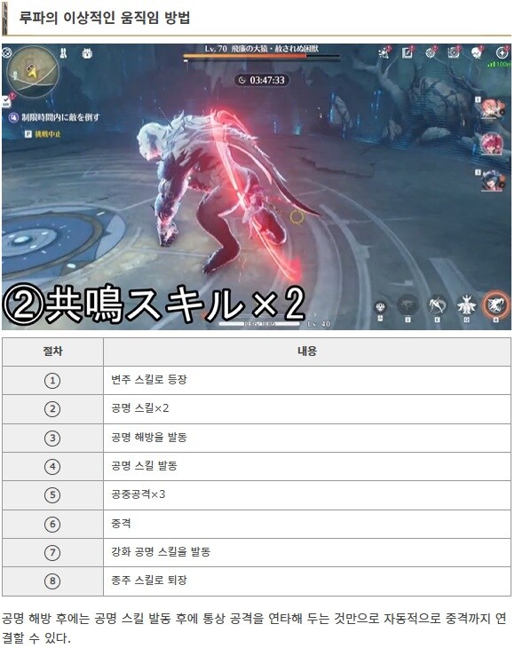 해외사이트서 소개하는 루파 운용방법.mp4_1.jpg