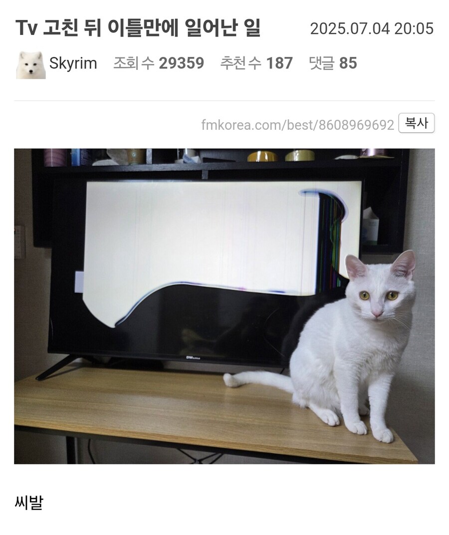 Tv 고친 뒤 이틀만에 일어난 일_1.jpg