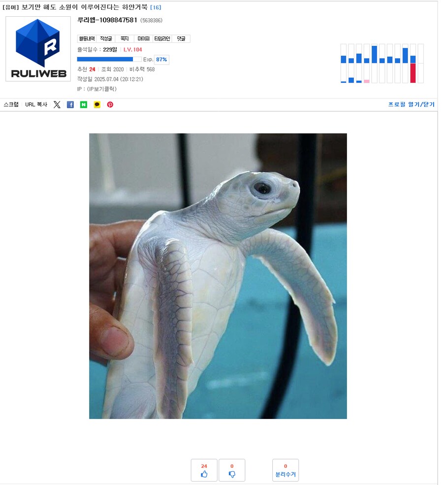 신이 사람들의 소원을 무작정 들어주지 않는 이유_1.png