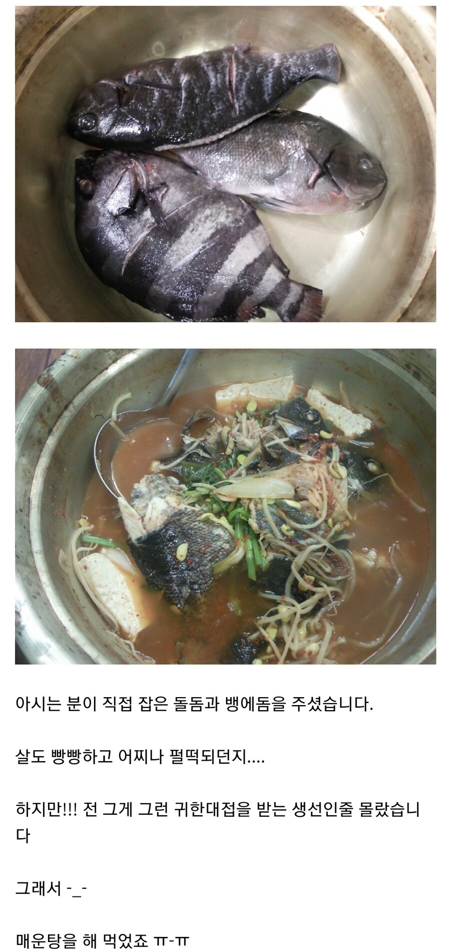 돌돔 요리 삼대장_3.jpg