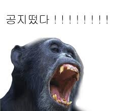 마비m) 공지떴다_1.jpg
