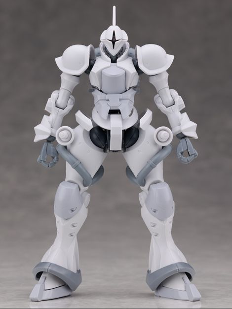 HG GQ 1/144 이그자베 전용 걍 해외 리뷰_14.jpg