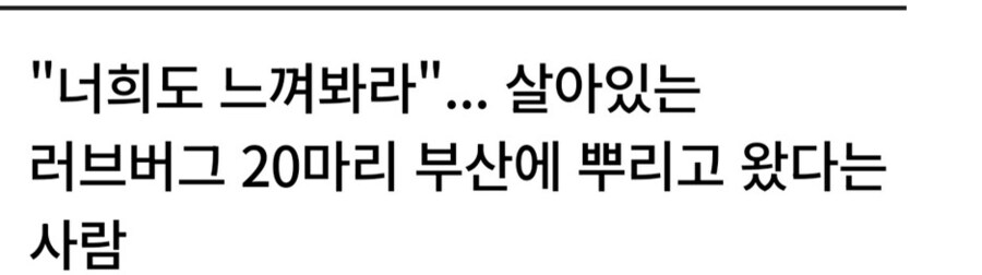 부산에 러브버그 뿌리고 왔다는 것 다른 관점으로 보면.._1.png