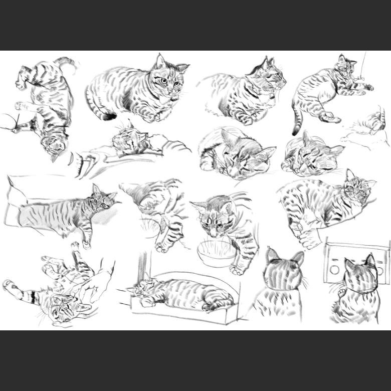 고양이) 우리집 고양이그림 보고가셈_11.png