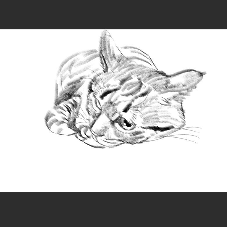 고양이) 우리집 고양이그림 보고가셈_12.png