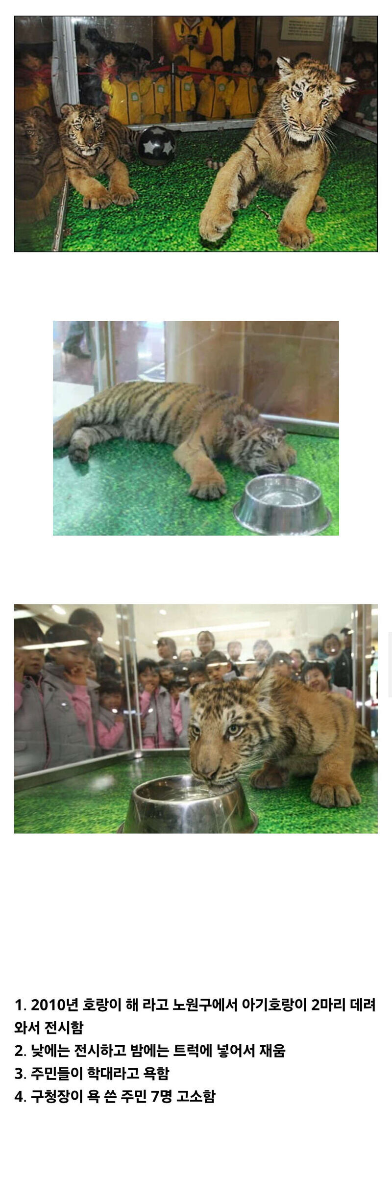 노원구청 레전드.jpg_1.jpg