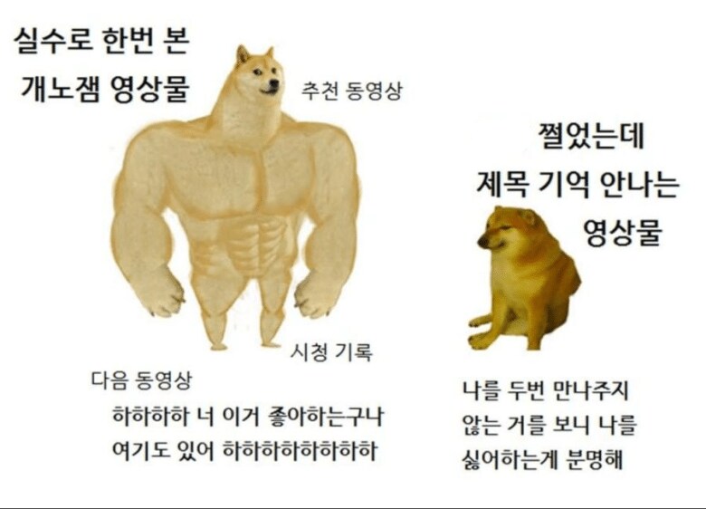 유튜브 알고리즘 특징_1.png