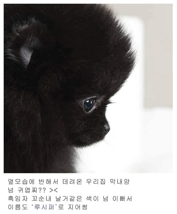 옆모습이 이쁨.jpg_1.jpg