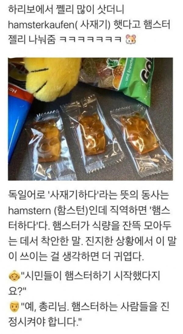 독일어로 '사재기하다' 의미의 단어_1.jpg