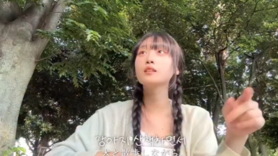 일본 강아지 산책 문화_1.jpg