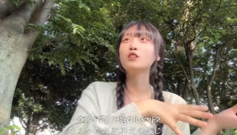 일본 강아지 산책 문화_4.jpg