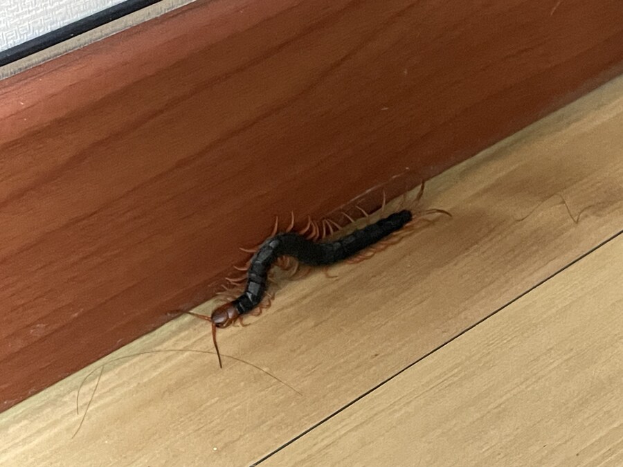 충격에 오늘 잠 다 잤네_2.jpg