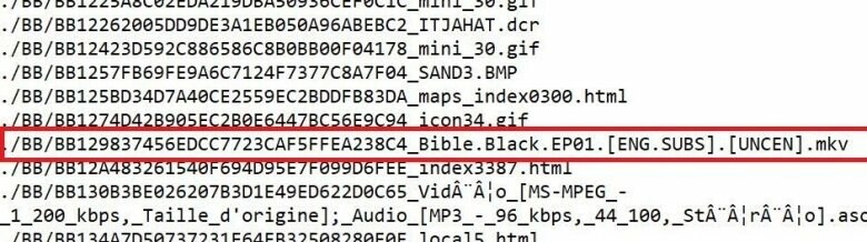 역대급 테러리스트가 봤다는 야애니 GOAT_2.jpg