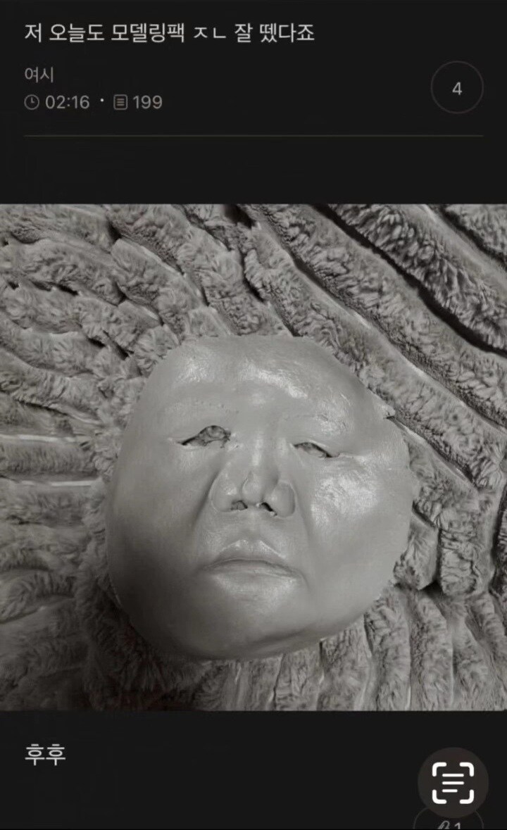 얼굴 팩을 너무 잘 뗀 여자.jpg