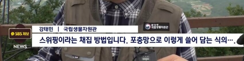 계양산 러브버그 방제작업 실시_2.png