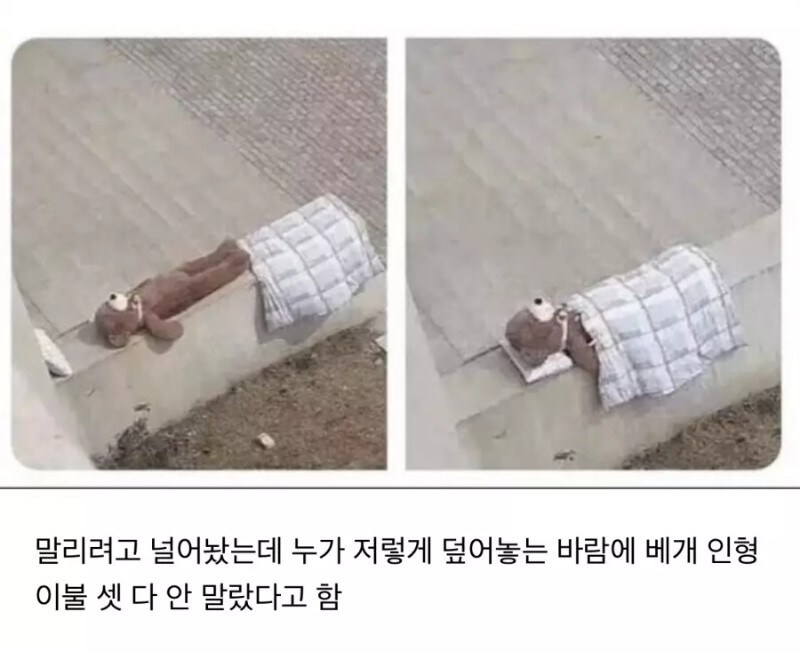 생활의 참견_1.jpg