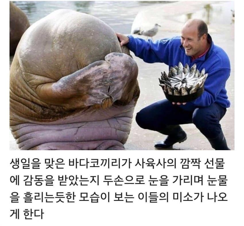 생일축하해~_2.jpg