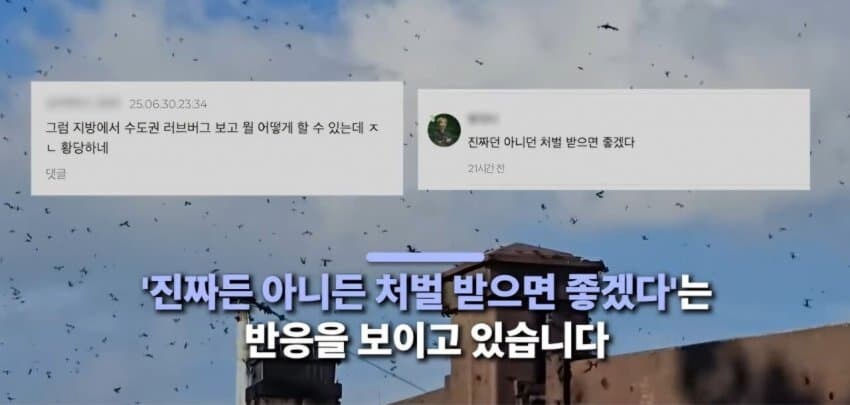 (러브버그) 부산에 러브 버그 뿌리기.JPG_2.jpg