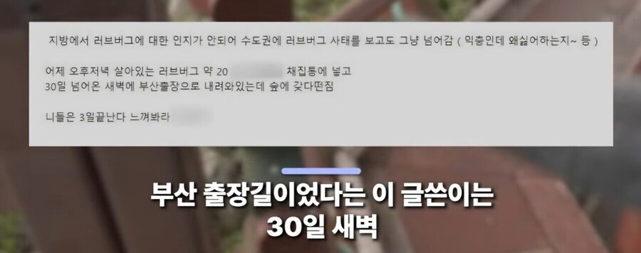 부산에 러브버그 20마리 뿌렷다는 인간_1.jpg
