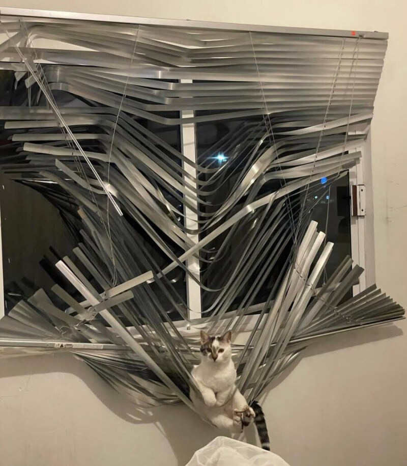 고소라도 하시게?_1.jpg