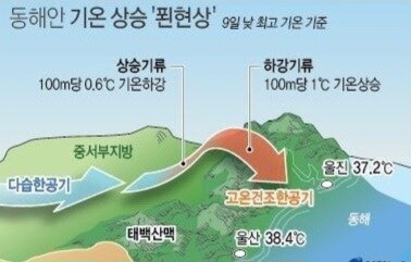 동해안이 내륙+서해보다 훨씬 더운 이유_3.jpg