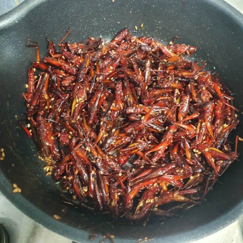 의외로 맛있다는 곤충_1.jpg
