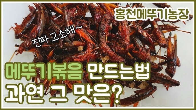의외로 맛있다는 곤충_2.jpg
