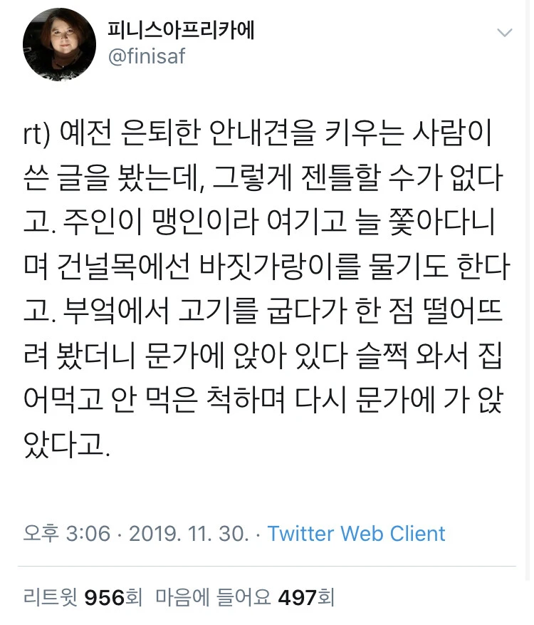 은퇴한 안내견 키운 썰._1.webp