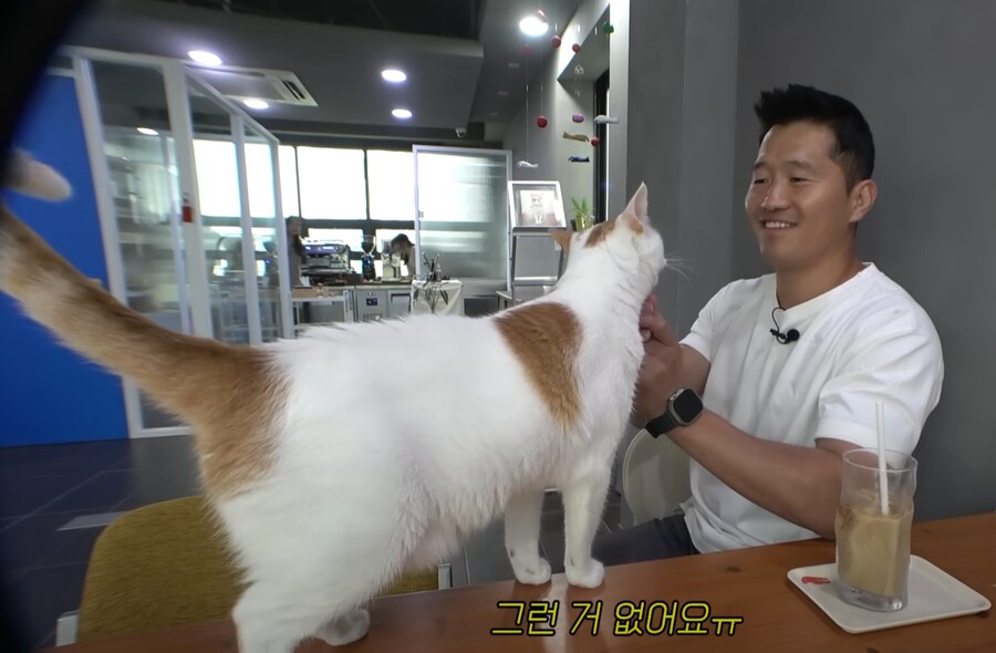 *** : '손'도 하나요?_2.png