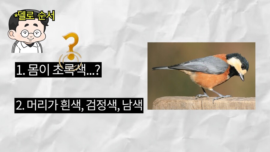 버튜버) 사진 보고 설명하기 대참사_1.jpg