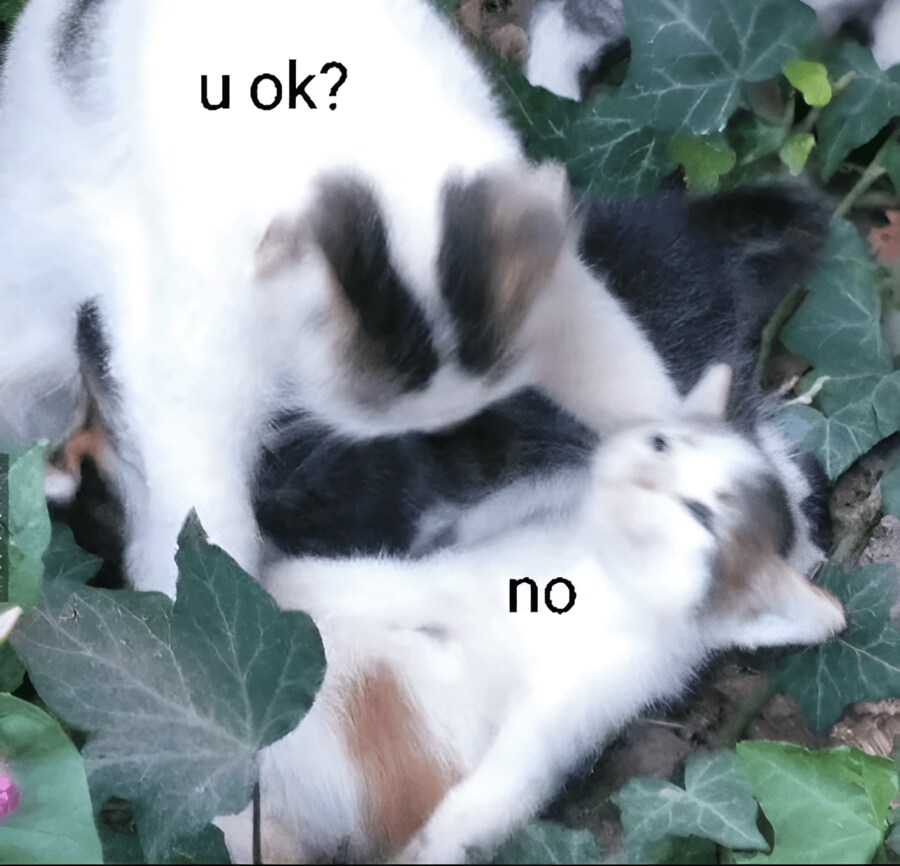 이상하게 덥네_1.png