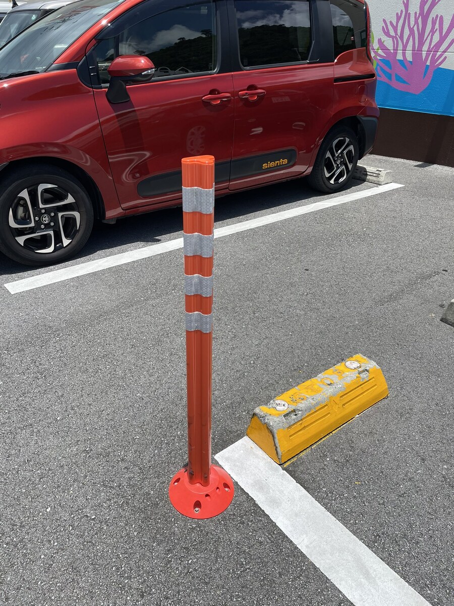 이해하면 무섭진 않고 신기함_1.jpg