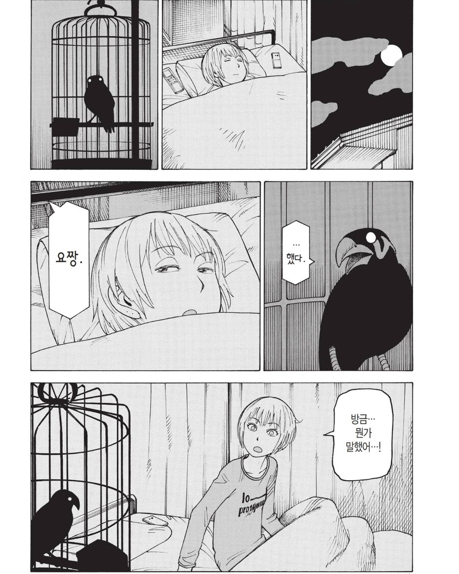 새 함부로 주우면 안되는 이유_5.jpg