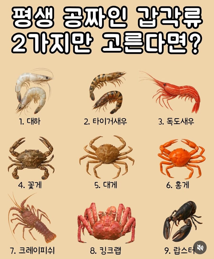 평생 공짜 갑각류 2가지 고르시오._1.jpg