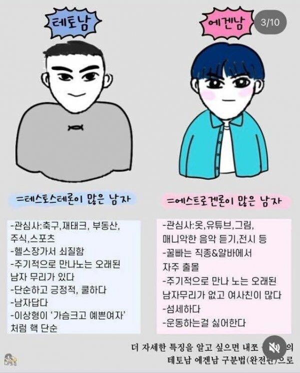 테토남 vs 에겐남_1.jpg