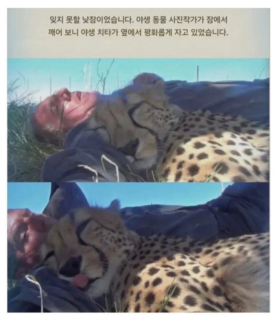 평생 잊지 못할 낮잠을 잔 남자_2.jpg