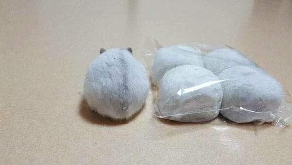 크큭 네녀석도 동료들과 똑같이 포장해주마_1.jpg