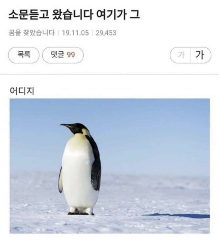 ㅇㅇㄱ) 이렇게까지 학습능력이 없는 놈들은 처음인데_1.jpg