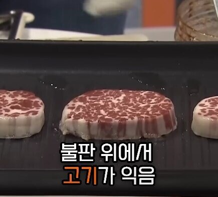 전세계 선진국들이 배양육 실험에 열을 올리는 이유_1.jpg