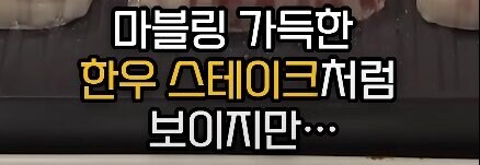 전세계 선진국들이 배양육 실험에 열을 올리는 이유_2.jpg