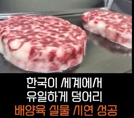전세계 선진국들이 배양육 실험에 열을 올리는 이유_4.jpg
