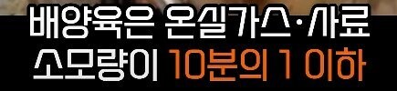 전세계 선진국들이 배양육 실험에 열을 올리는 이유_5.jpg