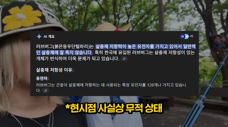 요즘 핫한 러브버그 방역에 살충제를 못쓰는 이유_9.webp