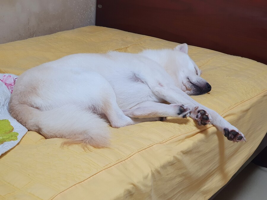 어저께 새벽에 치킨머겄더니 배가 아프다 ㅜㅜ_1.jpg