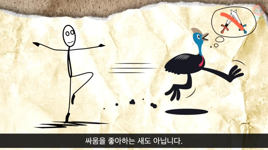 세상에서 가장 위험한 새라고 불리우는 화식조의 반전_30.png