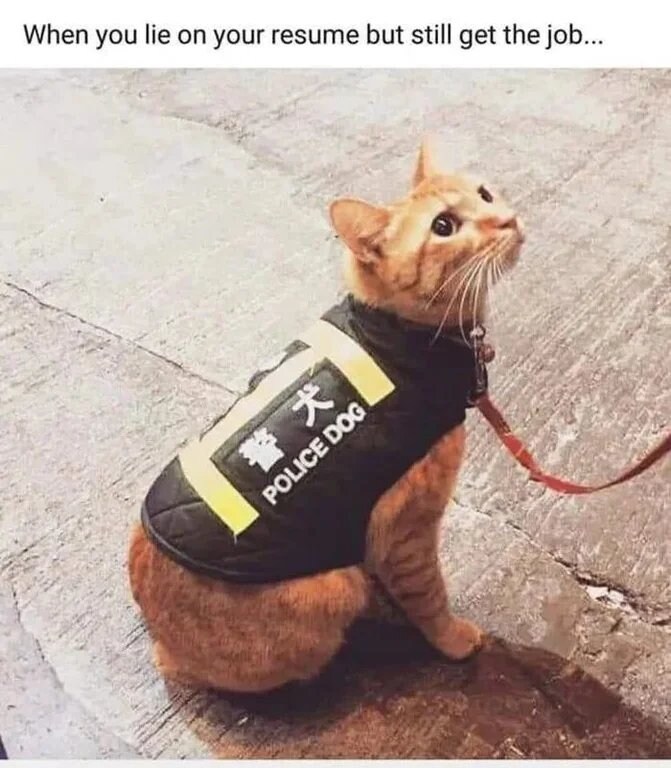 이력서 사칭으로 취직_1.jpg