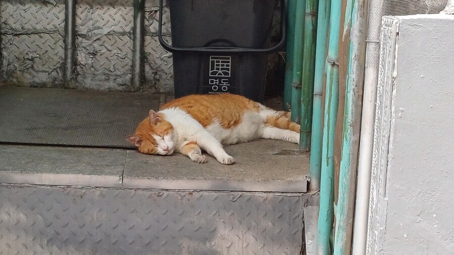 남산 풀코스 후기_5.png